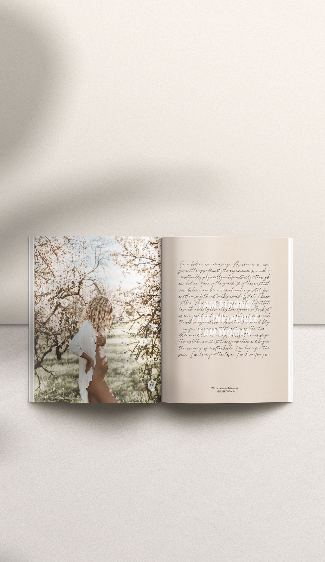 Becoming Mama - A Pregnancy Journal