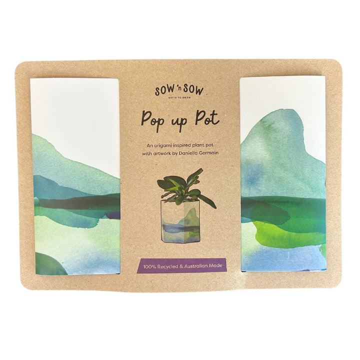 Origami Pop Up Pot ‘Mountain’