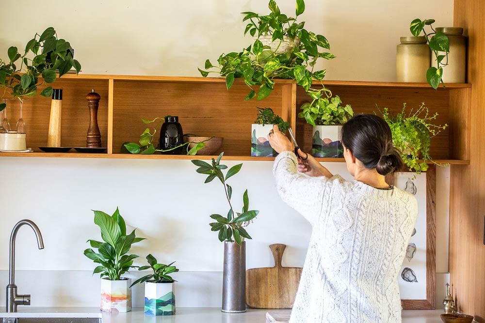 Origami Pop Up Pot ‘Mountain’