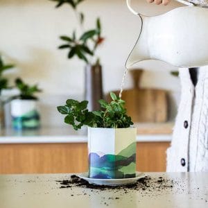 Origami Pop Up Pot ‘Mountain’